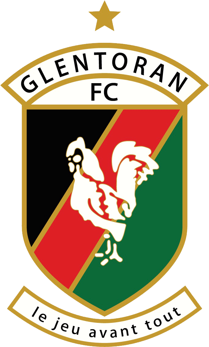Glentoran Social Partnership